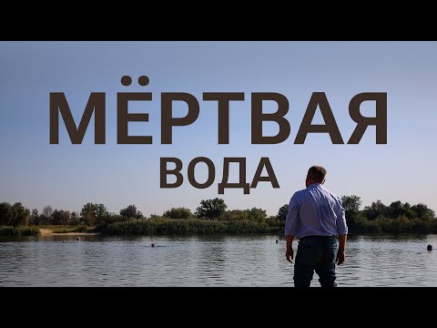 Видео: Живая и мертвая? Что происходит с водой в Северском Донце?