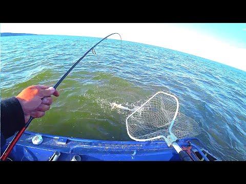 Видео: НИ ФИГА!!! ВОТ ЭТО УДАРЫ! ПАЛКА В ДУГУ ОТ ТАКИХ!!! Рыбалка на спиннинг летом.