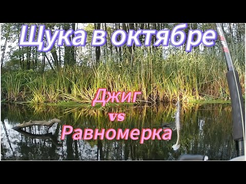 Видео: Щука с лодки в октябре. Бигбейты или джиг?