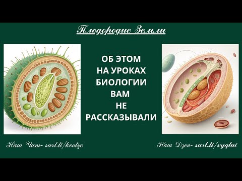 Видео: Жизнь  Как она зарождается  в растениях № 847/25