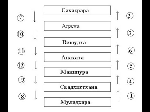 Видео: 1 дом, как переход от Муладхары к Свадхистхане. 2 матрица по С. Грофу. Солнце как Муладхарная фаза.