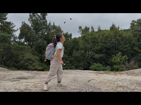 Видео: Ивээл амралтын өдөр ууланд алхсан нь 🍂⛰️