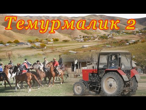 Видео: Хунарнамоихои Пахлавонони н. Темурмалик ва сайри д. Муродбахш.