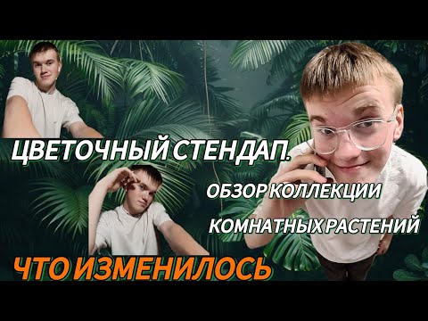 Видео: ОБЗОР КОЛЛЕКЦИИ КОМНАТНЫХ РАСТЕНИЙ 12.08.25. ЧТО ИЗМЕНИЛОСЬ ЗА ПОЛГОДА