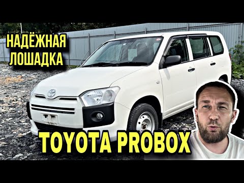 Видео: TOYOTA PROBOX  купили в г. Пермь