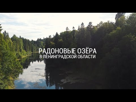 Видео: Радоновые озера в Ленинградской области