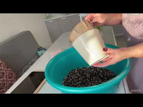 Видео: 🌿 Опять эти танцы с дренажом и горшками?