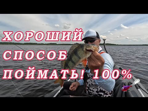 Видео: На ЭТО Гарантировано ПОЛУЧИТЕ ПОКЛЁВКУ! Как Легко Поймать Когда НЕ КЛЮЁТ!