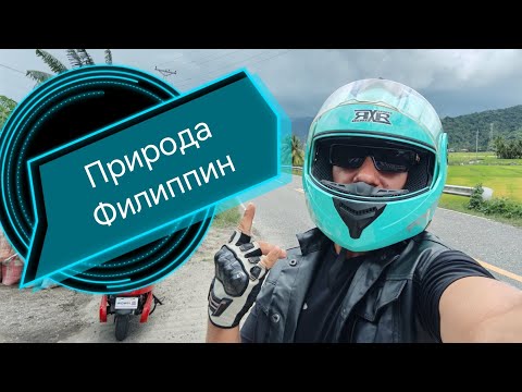 Видео: Филиппины: деревня, природа и путешествие в джунгли к горной реке. 