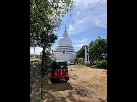 Видео: Улочная еда Шри Ланки.  Популярный пляж Джангл Бич.  Обезьяны на пути к Буддийскому храму Унаватуны