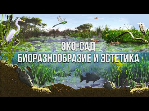 Видео: Эстетика Против Экологии: Вечный Диалог Садовода
