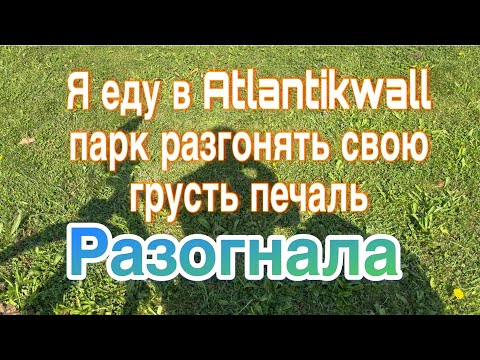 Видео: Приехала в волшебное место и грусть исчезла🚴‍♀️☘️