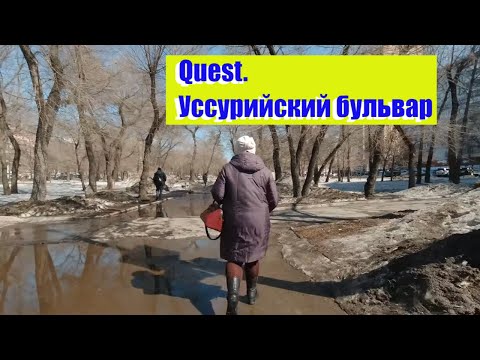 Видео: Прогулки по Хабаровску. Шокирующий вид Уссурийского бульвара. #хабаровск #хабаровсксегодня