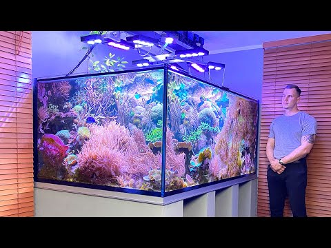Видео: НЕМЕЦКИЕ РИФОВЫЕ АКВАРИУМЫ - "Nature Reef" - коралловый акваскейп / морской аквариум объёмом 3000...