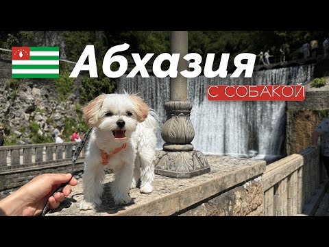 Видео: АБХАЗИЯ на МАШИНЕ с собакой: Гудаута, Сухум, Пицунда, Гагра, Новый Афон