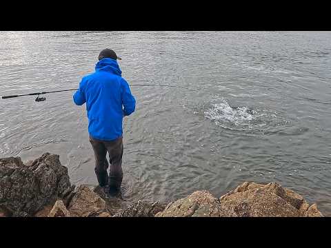 Видео: Ловля окуня с крошечного острова