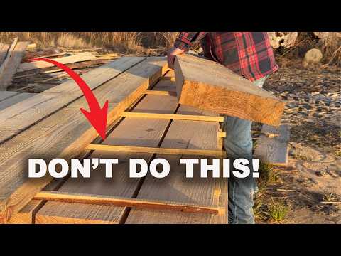 Видео: Самая БОЛЬШАЯ ошибка при рубке леса.