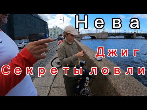 Видео: Рыбалка на Неве.Секреты ловли рыбы от местных рыбаков!#рыбалка #fishing2024 #стритфишинг #джиг