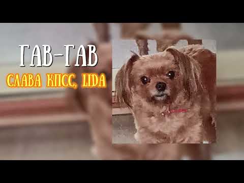 Видео: СЛАВА КПСС, LIDA - Гав-Гав (speed up)