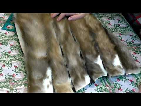 Видео: Как сшить капюшон из куницы/ секреты мастерства работы с меховыми изделиями #этоМЫнск