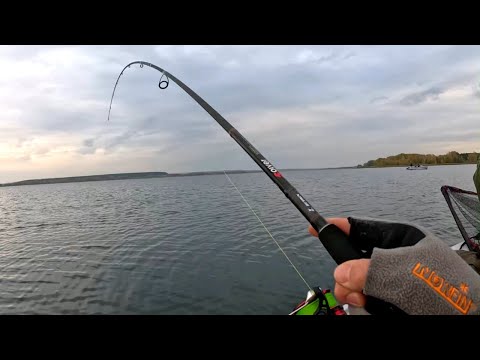 Видео: НАШЛИ РЫБНУЮ БРОВКУ И ПОШЛО ДЕЛО!!!! Рыбалка осенью на спиннинг