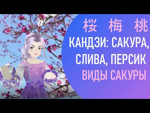 Видео: Сакура, слива, персик, как они отличаются? Виды сакуры. Иероглифы