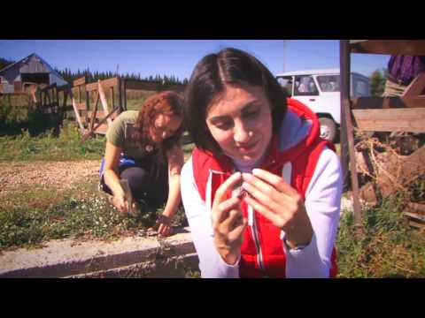 Видео: Здесь была Маша: Змеиногорск