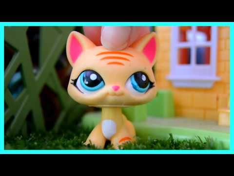 Видео: LPS: Распаковка посылки с обмена (ЧИТАТЬ ОПИСАНИЕ)