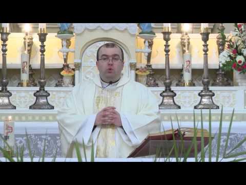 Видео: Святая месса 08.11.2015