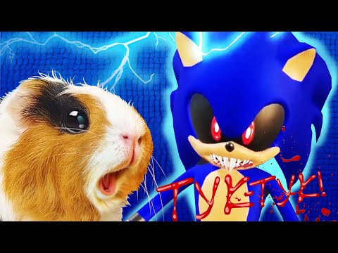 Видео: Свинка Бузя против Монстра: Борьба с Sonic.exe у нашего дома!