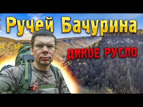 Видео: ДИКОЕ РУСЛО ручья 🌊 Бачурина. Поход туда и обратно. Что интересного на маршруте? Ночевка в лесу