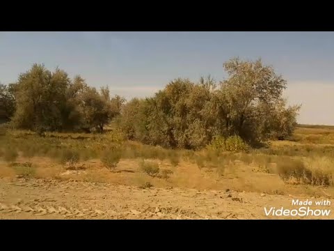 Видео: БЕРУ ВАС НА ПРОГУЛКУ.с.ОКТЯБРЬ.ОТ УШТОБЕ В 5 КМ.