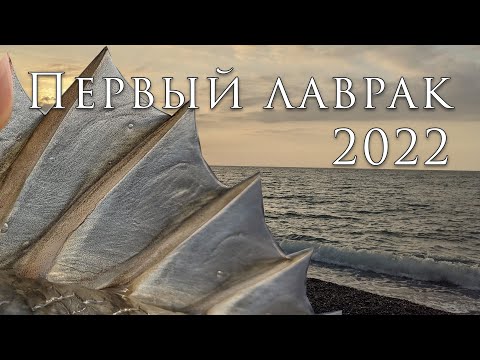 Видео: Первый сибас (лаврак) сезона 2022.