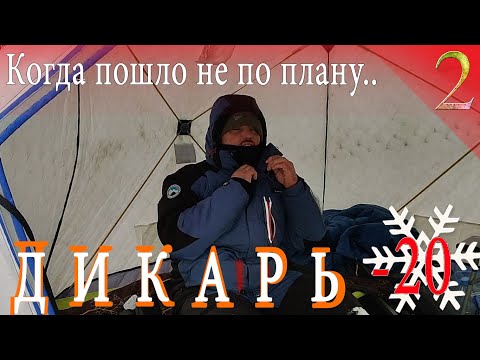 Видео: Дикарь. Один в лесу в -20. Когда пошло не по плану.. Из еды только соль. Часть 2 ЗИМА