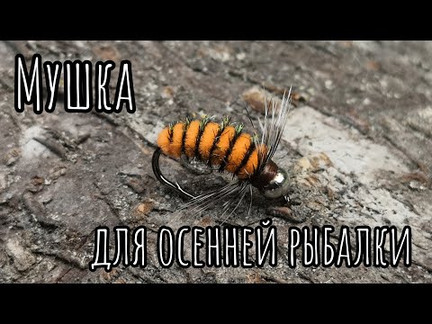 Видео: Мушка для осенней рыбалки 2023. Простой и легкий вариант мушки для ловли ленка и хариуса осенью!