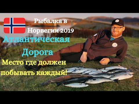 Видео: Норвегия. Морская рыбалка. Рыбалка в Норвегии!! Атлантическая дорога! Скумбрия и сайда наловил 8 кг!