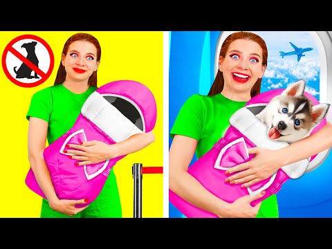 Видео: Как Пронести Домашних Животных в Самолёт | Смешные Cитуации от Fun Fun Challenge