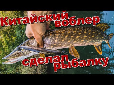 Видео: Воблер с AliExpress сделал рыбалку | Копия Fishycat Junglecat 140F от Bearking в деле