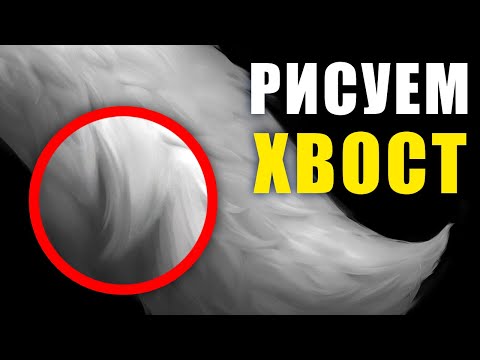 Видео: 🤔 КАК РИСОВАТЬ ХВОСТ фурри?