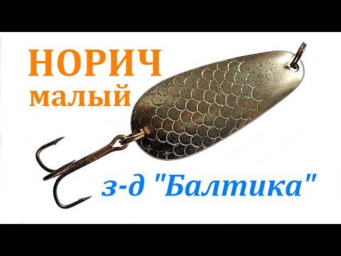 Видео: Норич Малый (з-д "Балтика")