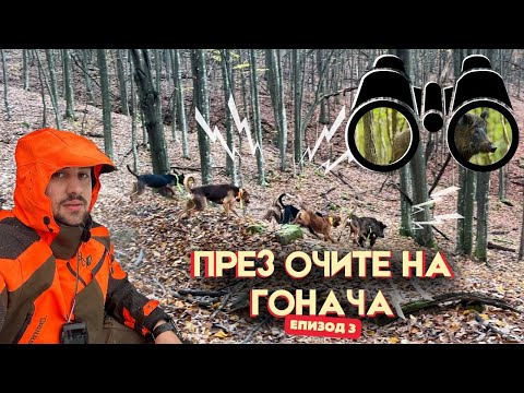 Видео: ДИВИ ПРАСЕТА НАВСЯКЪДЕ! Лов в ДЛС Росица! През очите на гонача ЕП.3
