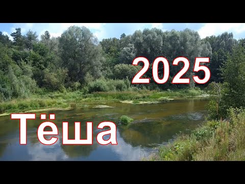 Видео: Сплав по реке Тёша 2025