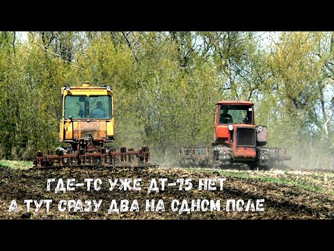 Видео: Сразу два трактора ДТ-75 работают на одном поле. Советская техника служит до сих пор