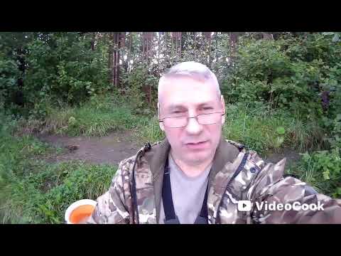 Видео: Рыбалка на пруду в конце августа. 