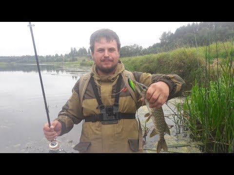 Видео: Побил личный рекорд на Тверце. Твичинг предосенней щуки.