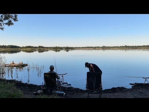 Видео: Рыбалка на  утренней  зорьке.