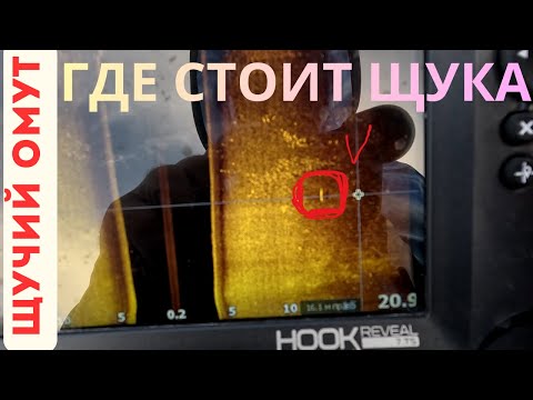 Видео: МЕСТА ОБИТАНИЯ ЩУКИ ОСЕНЬ