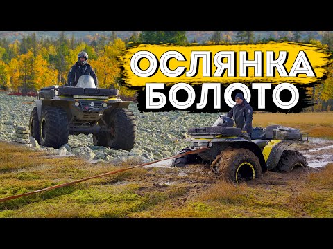 Видео: Горы Ослянка, Колпаки и Першинское ковровое болото на квадроциклах Сокол