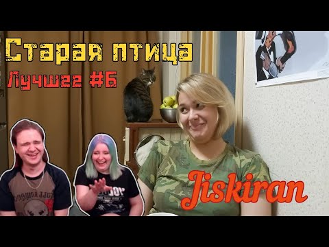Видео: Старая птица. Лучшее #6 | @Jiskiran @maruseyro 