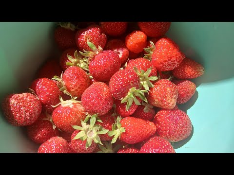 Видео: Ждём "лето" в Турции